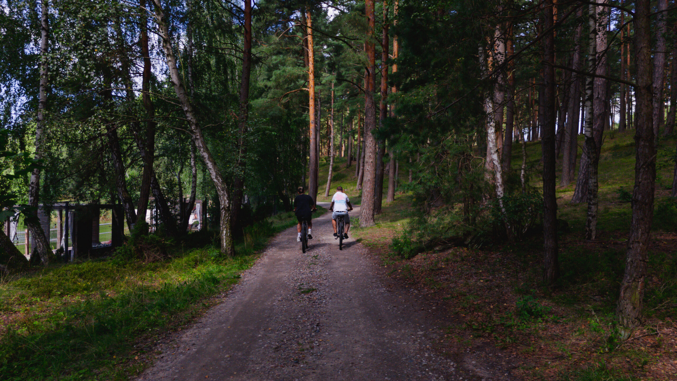 Leśna ścieżka rowerowa w okolicach Przystani Wygonin, Kaszuby