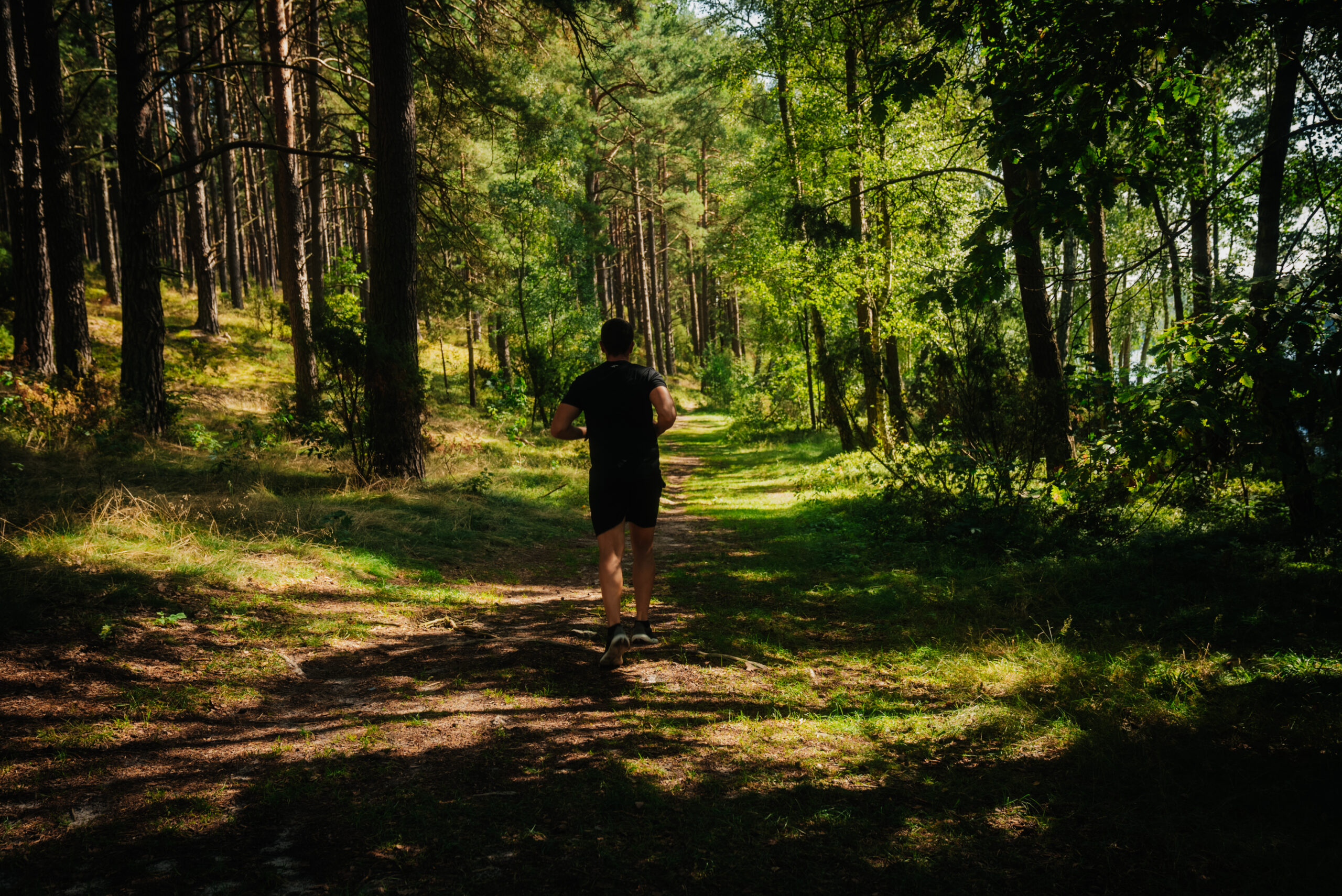 Jogging w kaszubskim lesie — Przystań Wygonin